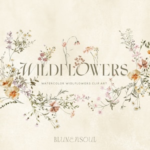 wildflower clipart, floral clipart, wildflower PNG, meadow flowers, commercial use, wildflower bouquet, baby shower, watercolor tiny flowers