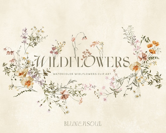 wildflower clipart, floral clipart, wildflower PNG, meadow flowers, commercial use, wildflower bouquet, baby shower, watercolor tiny flowers