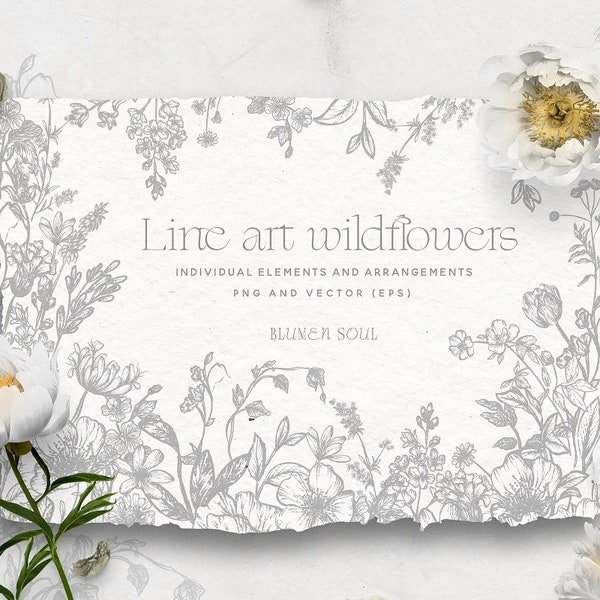 handgezeichnete Blume Clipart Linie Kunst botanische Clipart Wildblumen PNG EPS Logo Design-Elemente Hochzeitseinladung delikat kommerzielle Nutzung