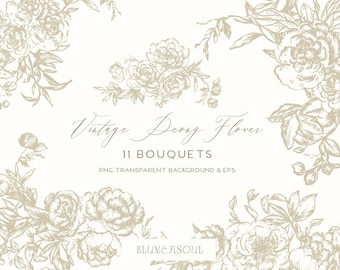 peony flower clipart line art vintage bouquets fine art botanical PNG EPS logo design elements hand drawn peonies floral wedding invitation