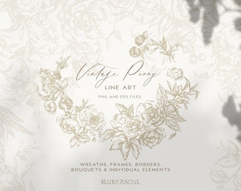 peony flower clipart line art vintage fine art botanical PNG EPS vector logo design elements hand drawn peonies floral wedding invitation