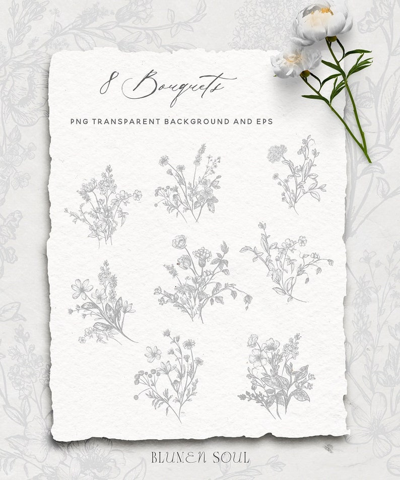 May include: Eight hand-drawn floral bouquets in gray on a white background. The text "8 Bouquets" and "PNG Transparent Background and EPS" is at the top of the image. The text "BLUMEN SOUL" is at the bottom of the image.