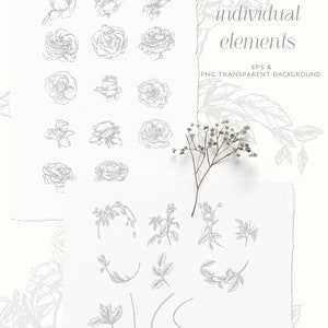 May include: A set of hand-drawn floral illustrations featuring roses, leaves, and stems. The illustrations are in a simple, minimalist style and are perfect for adding a touch of elegance to any project.