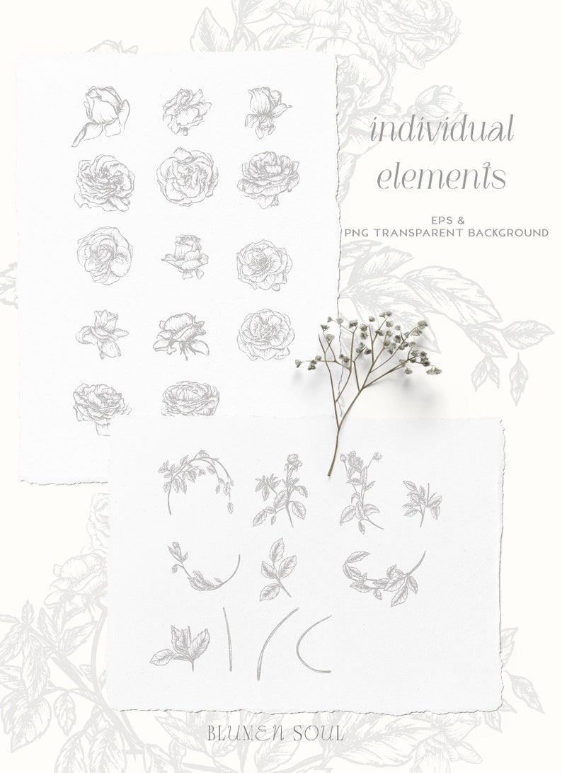 May include: A set of hand-drawn floral illustrations featuring roses, leaves, and stems. The illustrations are in a simple, minimalist style and are perfect for adding a touch of elegance to any project.