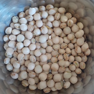 May include: A close-up view of a bowl filled with raw, white pigeon peas. The peas are smooth and round, with a slightly off-white color.