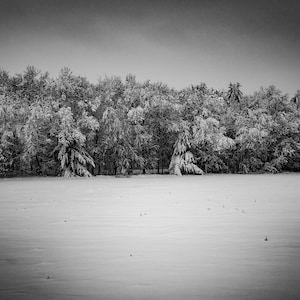 Winter Landscape