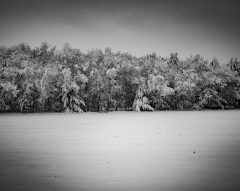 Paysage hivernal