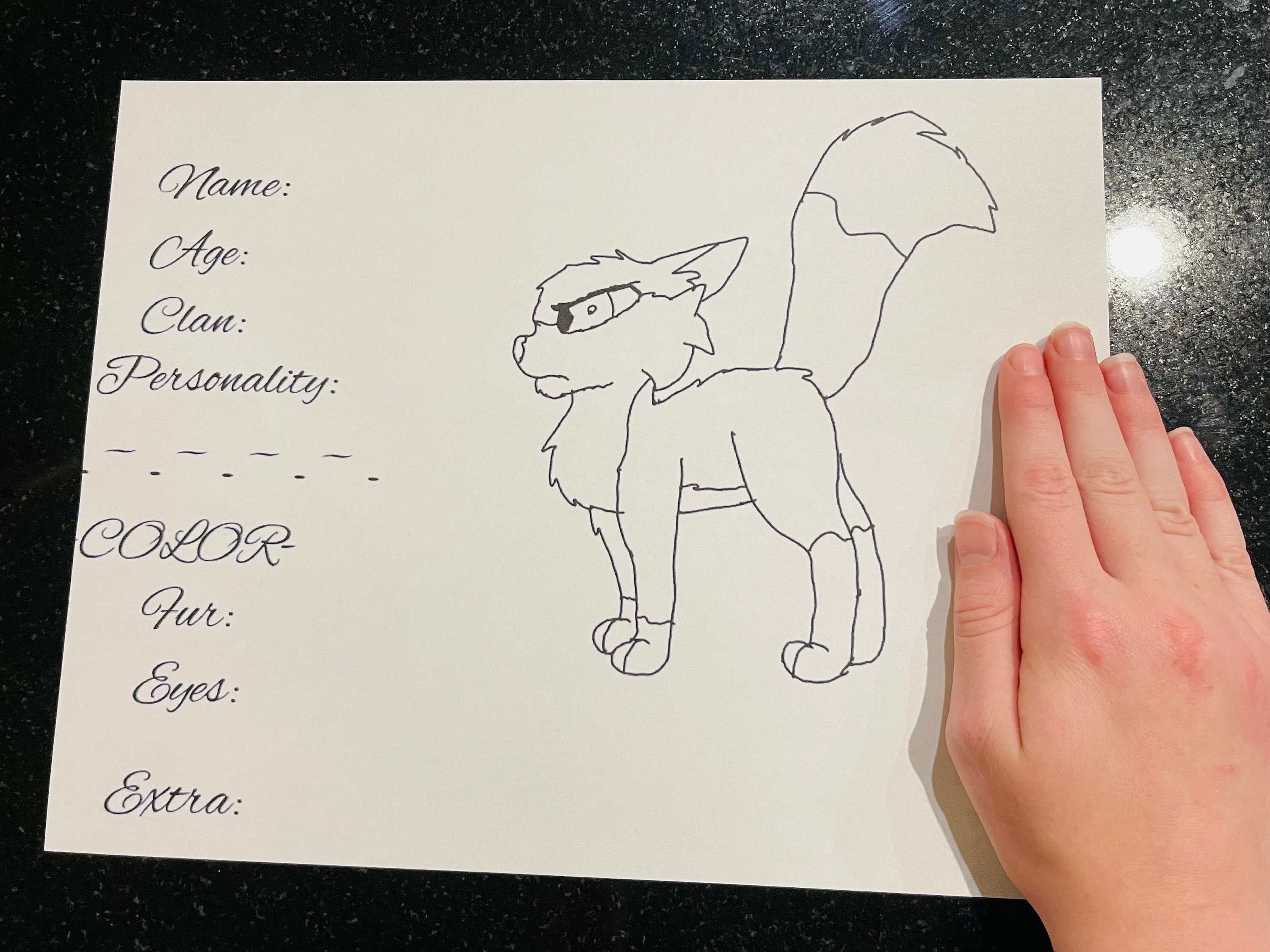 Warrior Cats Character Sheet/coloring Sheet - Etsy