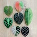 Plant Phone Grip - Monstera Albo - Luxurians - Verrucosum - Veitchii 