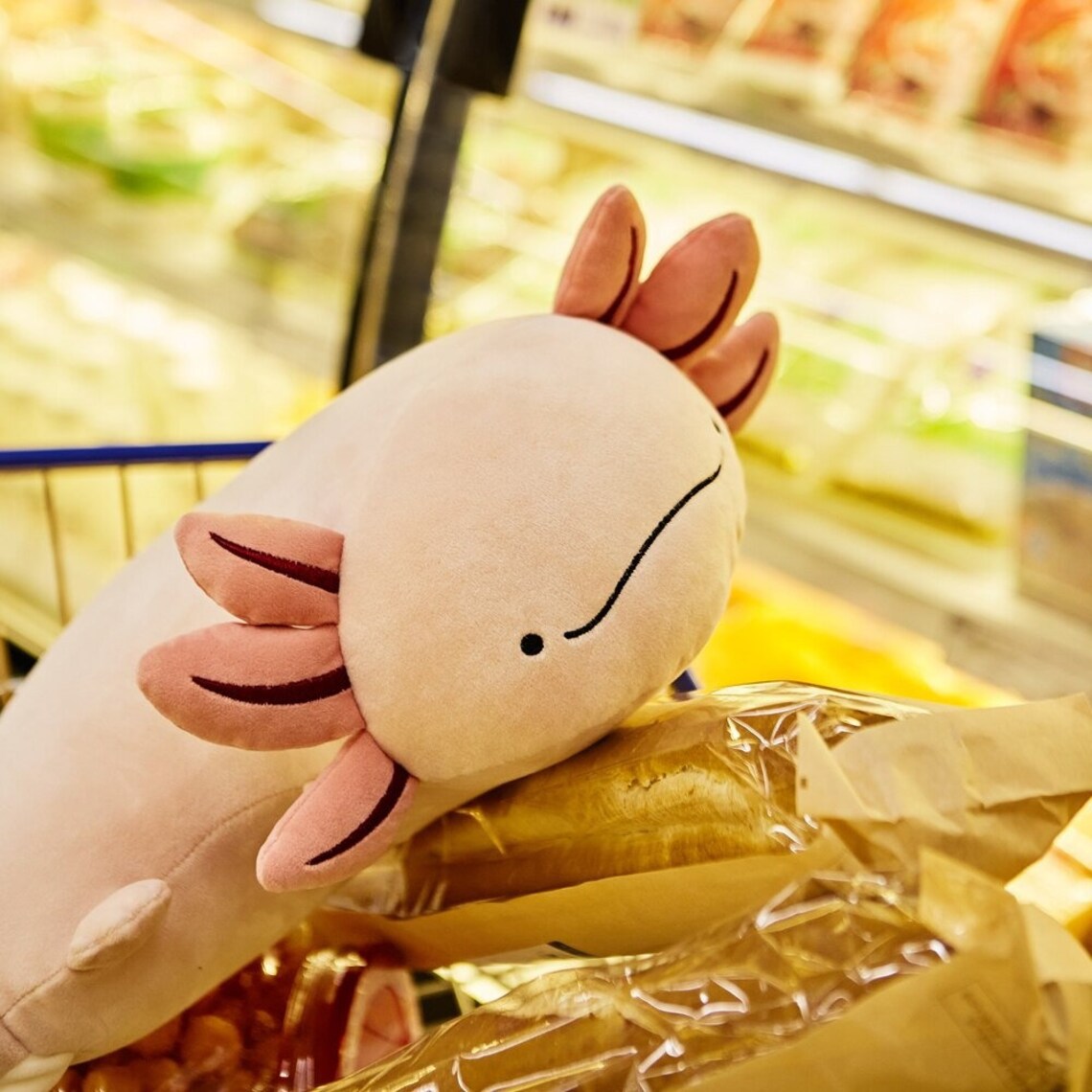 Kawaii Axolotl Plush Toy Axolotl Squishmallow Plush Animal Etsy Ireland
