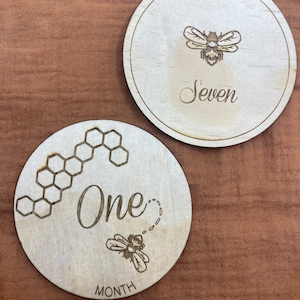Baby bee milestone cards set of 12 with 2 bonus cards