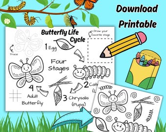 Schmetterling-Lebenszyklus druckbare Aktivitätsarbeitsblatt für Kinder, der Lebenszyklus einer Schmetterlings-Malseite, Phasen einer Schmetterlingsaktivität