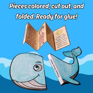 May include: A paper craft project featuring a light blue whale cut into two sections with a "Place Glue Here" tab, and an accordion-folded booklet with illustrations and text from Jonah 2:10. The text reads: "Pieces colored, cut out, and folded. Ready for glue!"