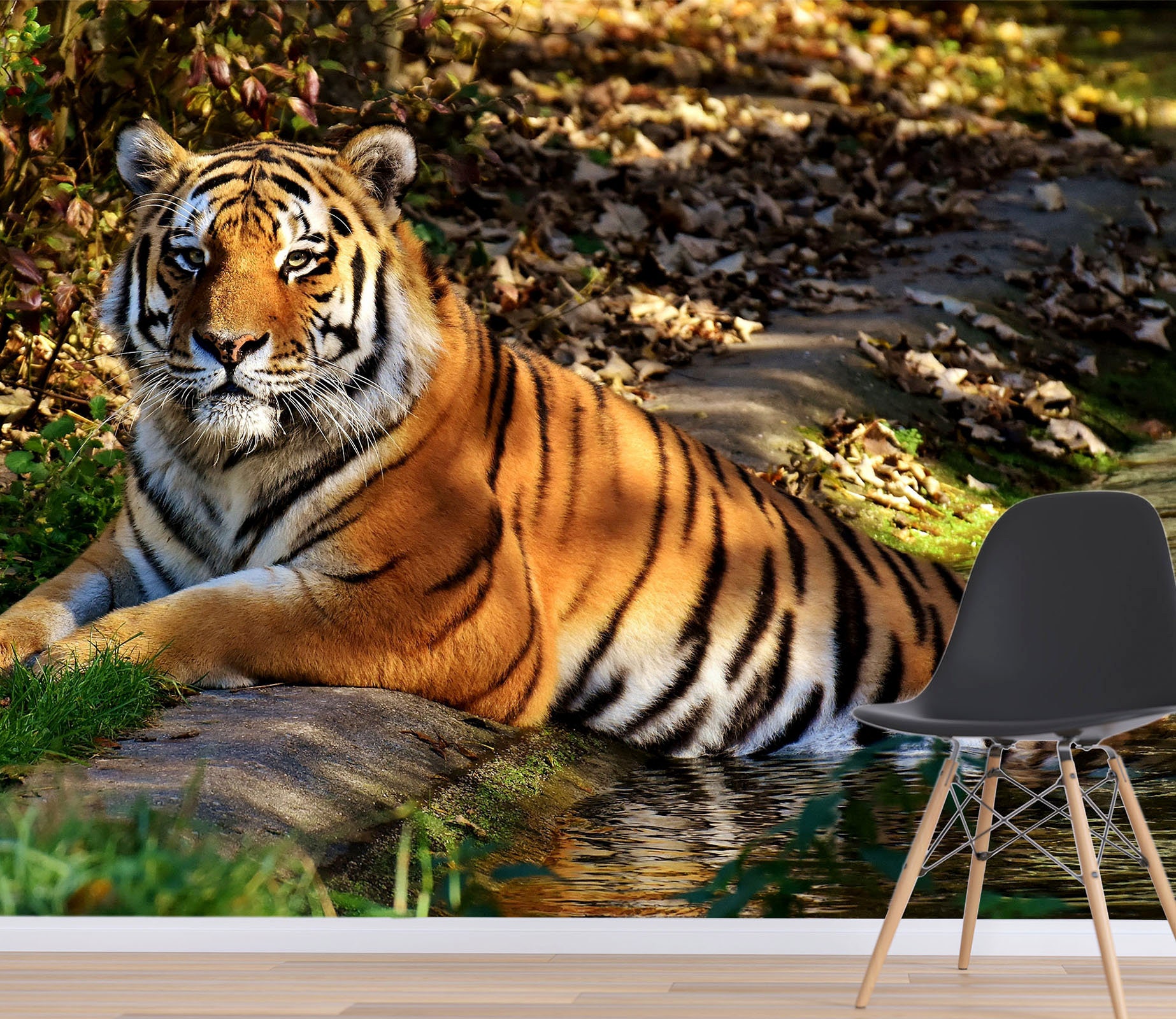 3D Sunshine Forest Tiger FFA5500 Animal Removable Wallpaper - Etsy 3D Sunshine Forest Tiger FFA5500 Animal Removable Wallpaper - Etsy