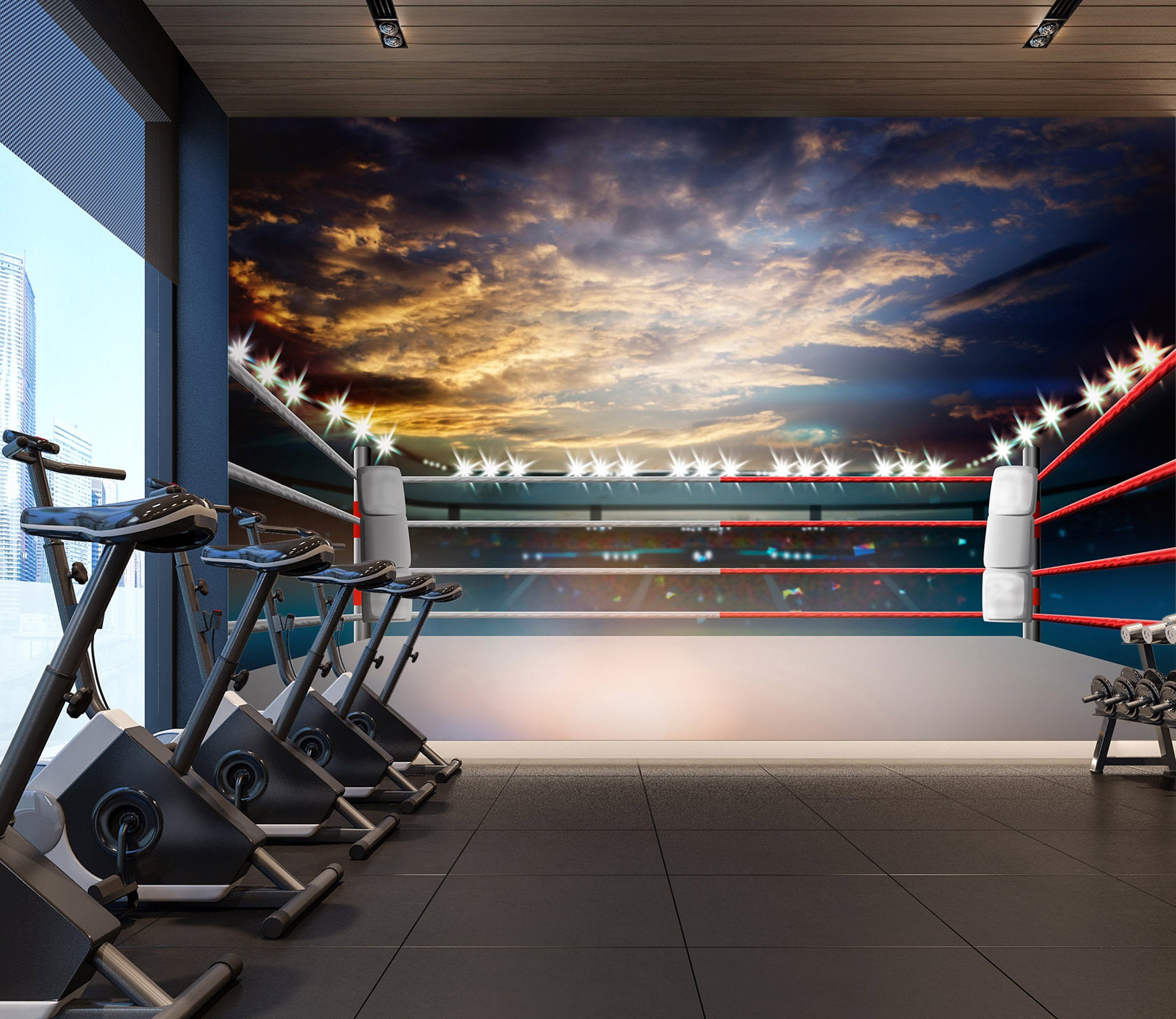 3D Boxing Ring FFA4659 Gym Removable Wallpaper Self Adhesive Wallpaper  Extra Large Peel & Stick Wallpaper Wallpaper Mural 