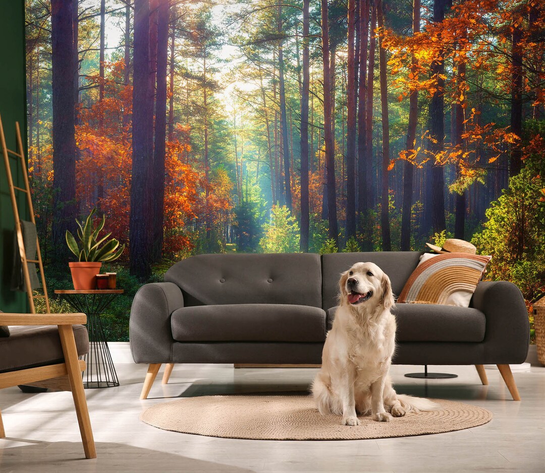 3D Cool Autumn Forest FFA1654 Removable Wallpaper Self Adhesive ...