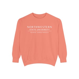 Nurse Anesthesia Custom University Sweatshirt, CRNA personalized shirt, Nurse Anesthetist gift, Christmas Gift Comfort Colors Shirt Terracotta