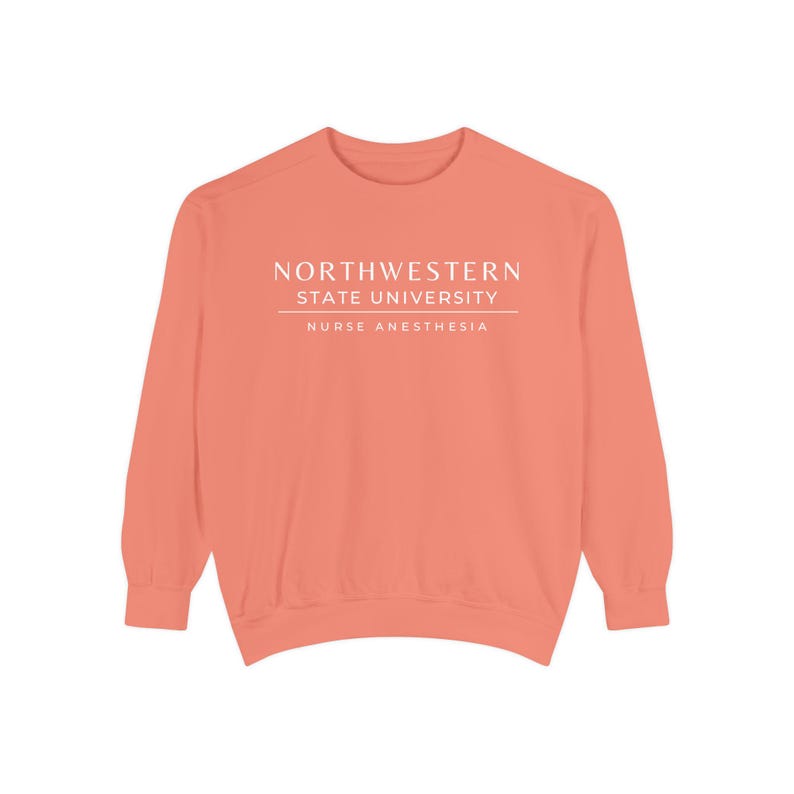 Nurse Anesthesia Custom University Sweatshirt, CRNA personalized shirt, Nurse Anesthetist gift, Christmas Gift Comfort Colors Shirt Terracotta