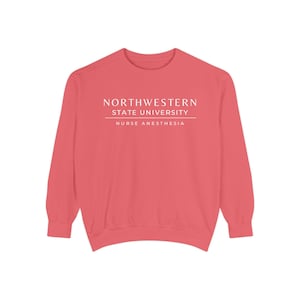 Nurse Anesthesia Custom University Sweatshirt, CRNA personalized shirt, Nurse Anesthetist gift, Christmas Gift Comfort Colors Shirt Watermelon