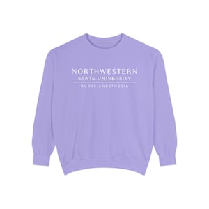 Nurse Anesthesia Custom University Sweatshirt, CRNA personalized shirt, Nurse Anesthetist gift, Christmas Gift Comfort Colors Shirt Violet