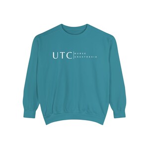 Nurse Anesthesia Custom Sweatshirt, CRNA personalized shirt, Nurse Anesthetist gift, Christmas Gift Comfort Colors Shirt, custom school image 9