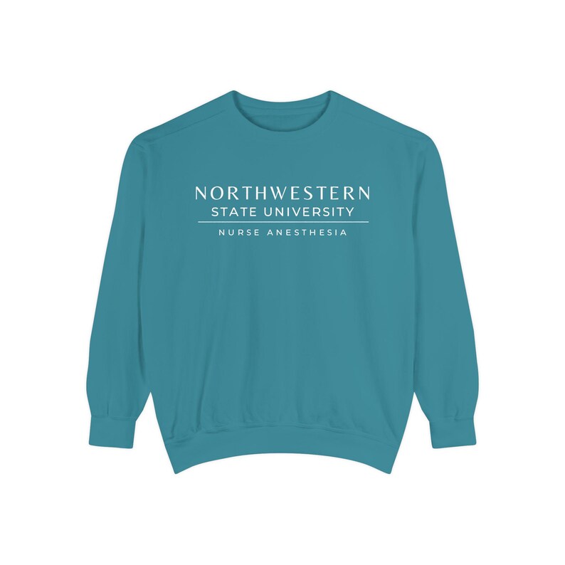 Nurse Anesthesia Custom University Sweatshirt, CRNA personalized shirt, Nurse Anesthetist gift, Christmas Gift Comfort Colors Shirt image 5