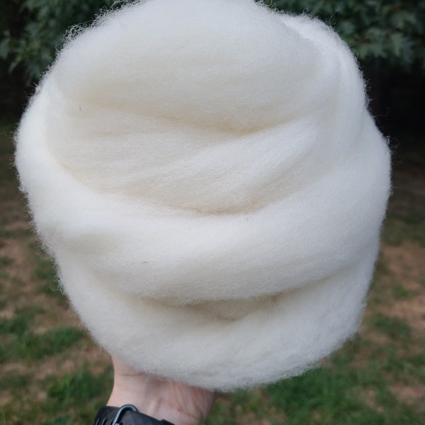 Babydoll southdown wool roving - 1 oz