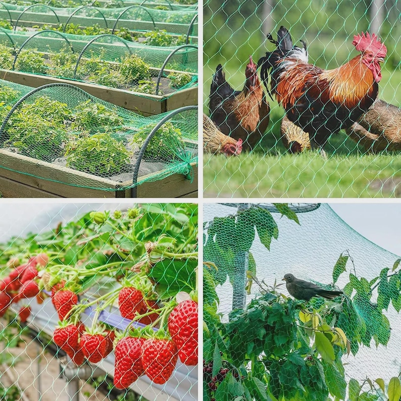 May include: A collage of images showcasing green netting used in gardening and farming. One image shows plants covered by netting, another shows chickens, a third shows strawberries, and the last shows a bird in a tree.
