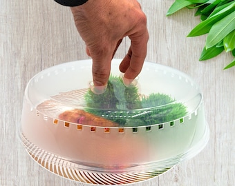 Microwave Plate – Durable and Easy to Clean Replacement