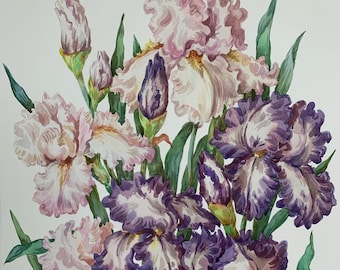 Original Watercolour Painting/Purple and Pink Iris Flowers/Botanical Illustration/Watercolour Floral Wall Art