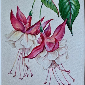 Original Watercolour Painting A5/ Fuchsia Flower/Purple Flower/Original Artwork/Botanical Art/Matted 8x10 image 1