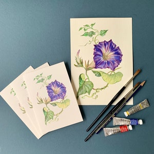Floral Greeting Cards/ Blue Bindweed Flower/ 4"x6"/ Watercolour Painting/Botanical Illustration/A6/Blank Inside