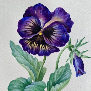 オリジナル水彩画 A5/すみれ色の花/オリジナルアートワーク/植物アート/マット付き 8"x10"