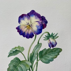 Original Watercolour Painting A5/ Violets Painting/Original Artwork/Botanical Art/Matted 8&quot;x10&quot;