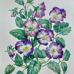 Original Watercolour Painting A4/ Purple Violets Painting/ Botanical Wall Art/Matted A3
