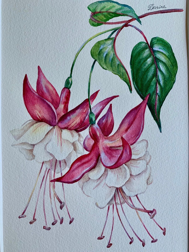 Original Watercolour Painting A5/ Fuchsia Flower/Purple Flower/Original Artwork/Botanical Art/Matted 8x10 image 1