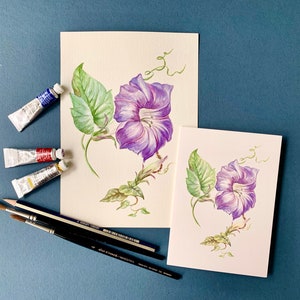 Floral Greeting Cards/ Purple Bindweed Flower/ 4"x6"/ Watercolour Painting/ Botanical Illustration/A6/ Blank Inside