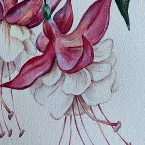 Original Watercolour Painting A5/ Fuchsia Flower/Purple Flower/Original Artwork/Botanical Art/Matted 8x10 image 4