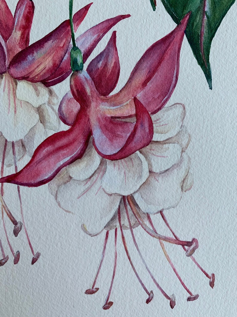 Original Watercolour Painting A5/ Fuchsia Flower/Purple Flower/Original Artwork/Botanical Art/Matted 8x10 image 4