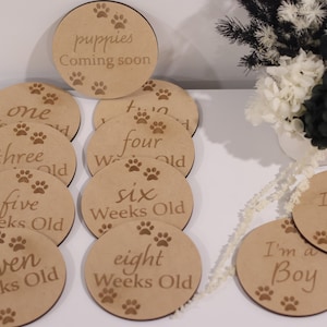 de disques en bois pour chiots Milestone | Ensemble d'étapes de reproduction | Faire-part pour les éleveurs, âges hebdomadaires, Chiens | Chiots | Chats | Chatons |