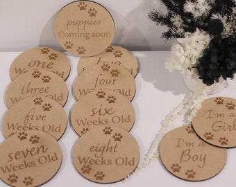 Juego de discos de madera para marcar los hitos del cachorro / Accesorios para fotos de criadores