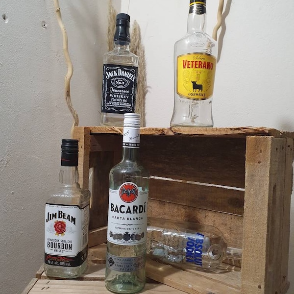 Spardose Sparflasche Whisky Upcycling Geschenk Rum Gin Außergewöhnlich DIY