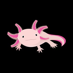 May include: A pink axolotl with feathery pink gills and a wide, toothy smile. The axolotl is a type of salamander that is native to Mexico.