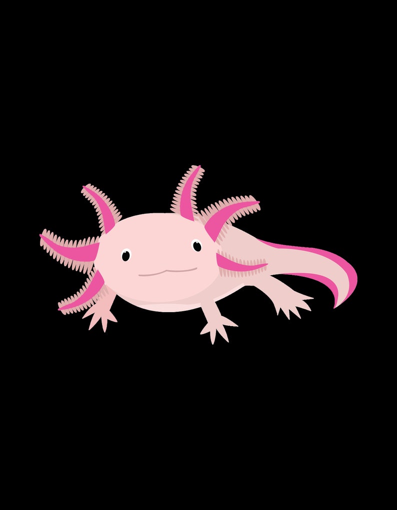 May include: A pink axolotl with feathery pink gills and a wide, toothy smile. The axolotl is a type of salamander that is native to Mexico.