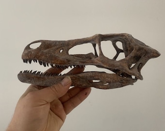 ま*ん様 アンハングエラ　頭蓋骨　化石　レプリカ ま*ん様 アンハングエラ 頭蓋骨 化石 レプリカ