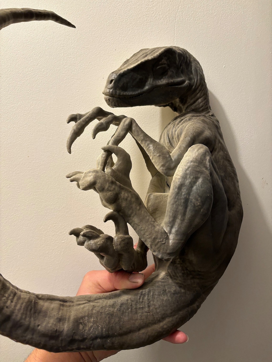 Reproduction of Sleeping Velociraptor 40 Cm in Diameter!! - Etsy UK