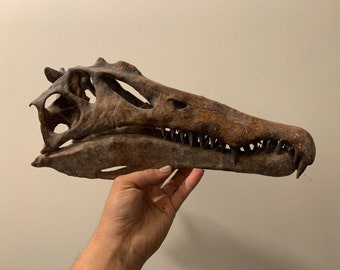 スピノサウルス・エジプティアクスの恐竜の頭蓋骨のレプリカ（恐竜の
