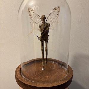 Peut inclure: Une pièce décorative unique représentant une fée squelettique avec des ailes d'insectes, enfermée dans un dôme en verre. La fée est montée sur une base en bois, créant une esthétique fantaisiste et gothique. Le dôme mesure environ 20 cm de haut.