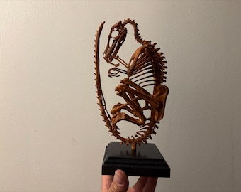Velociraptor fetus skeleton replica on wooden base