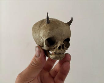 Demon Fetus Skull Replica